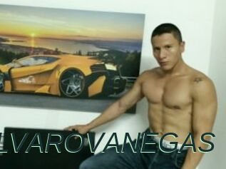ALVAROVANEGAS