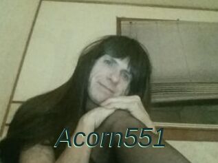 Acorn551