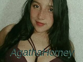 AgathaHorney