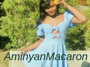 AminyanMacaron