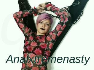 Analxtremenasty