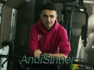 AndiSinner