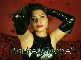 AndreaMitchel
