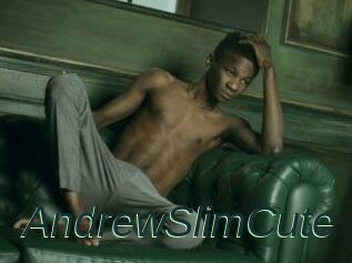 AndrewSlimCute