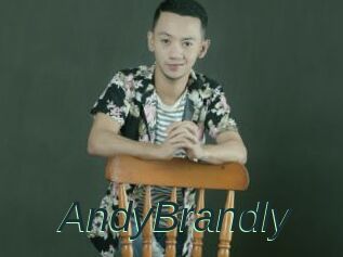 AndyBrandly