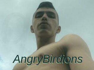 AngryBirdions