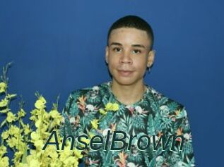 AnselBrown