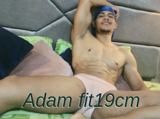 Adam_fit19cm