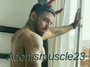 Adonismuscle23