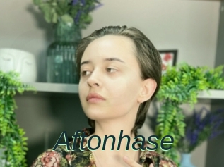 Aftonhase