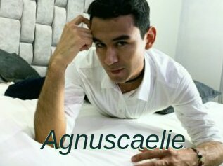 Agnuscaelie