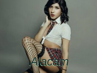 Alacam