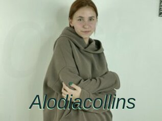 Alodiacollins