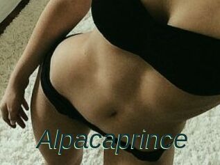 AlpacaPrince