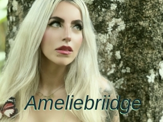 Ameliebriidge
