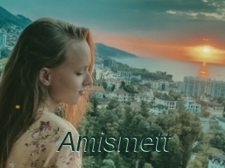 Amismett