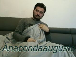 Anacondaaugusto