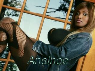 Analhoe