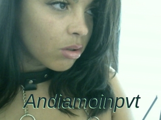 Andiamoinpvt