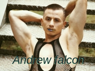 Andrew_falcon