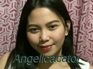 Angelicacator