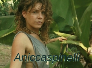 Aniccaspinelli