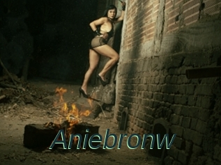 Aniebronw