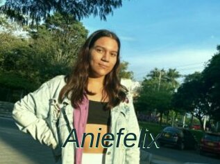 Aniefelix