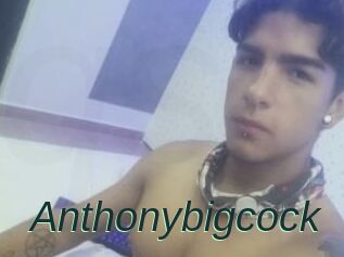 Anthonybigcock