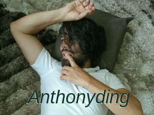 Anthonyding
