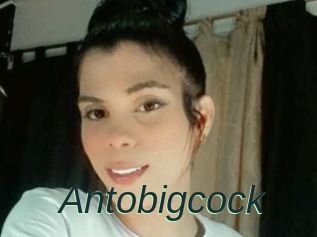 Antobigcock