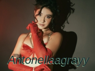 Antonellaagrayy