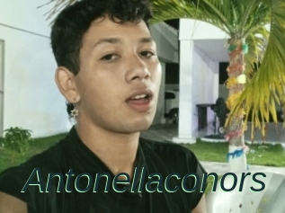Antonellaconors