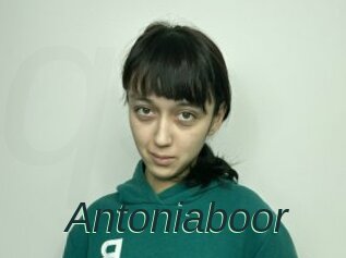 Antoniaboor
