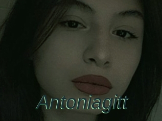 Antoniagitt