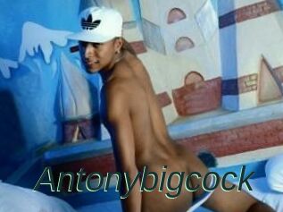 Antonybigcock