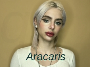 Aracaris
