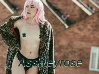 Asshleyrose