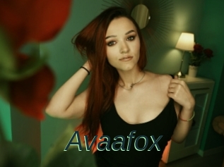 Avaafox
