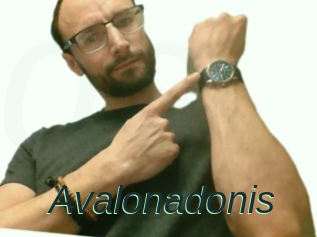 Avalonadonis