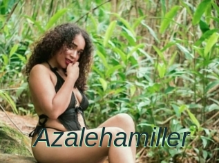 Azalehamiller