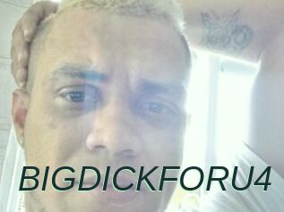 BIGDICKFORU4
