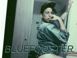 BLUEFOOSTER