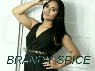 BRANDY_SPICE