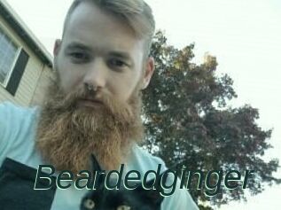 Beardedginger