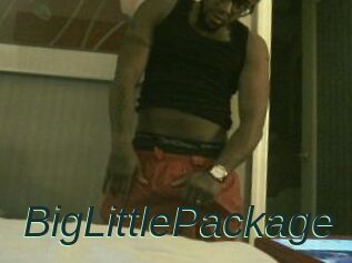 BigLittlePackage