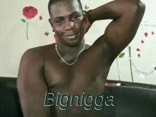 Bignigga
