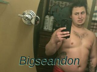 Bigseandon