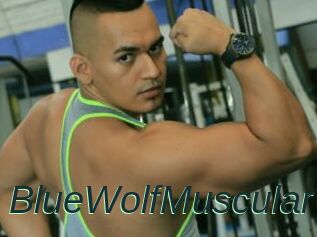 BlueWolfMuscular