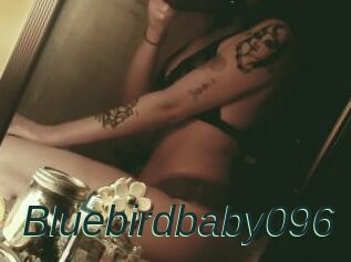 Bluebirdbaby096